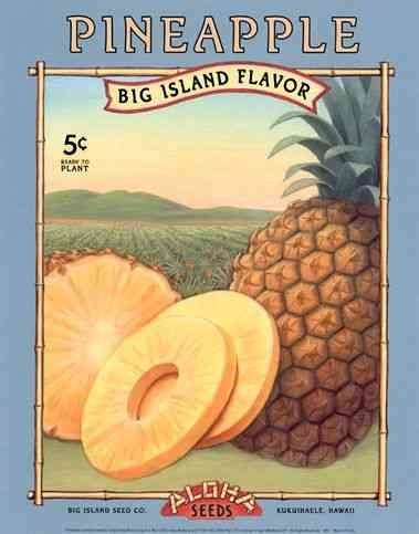 Aloha Seeds 168 advert A4 Photo Print
