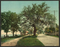 Along the bay Bay St Louis Miss Vintage A4 Photo Print