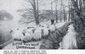 Alpha Pure Wool Vintage Retro Advert Ads A4 Photo Print