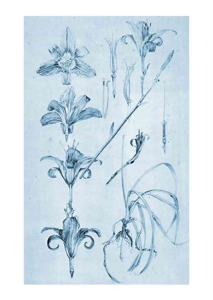 Alphonse Mucha 2 079 art nouveau Vintage Illustration A4 Photo Print