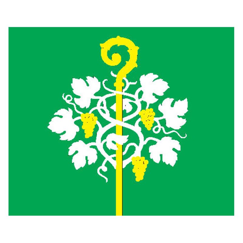 Alsedziai City Flag N6739 A4 Photo Print