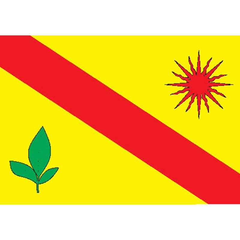 Altufievsky Mos Flag N910 A4 Photo Print