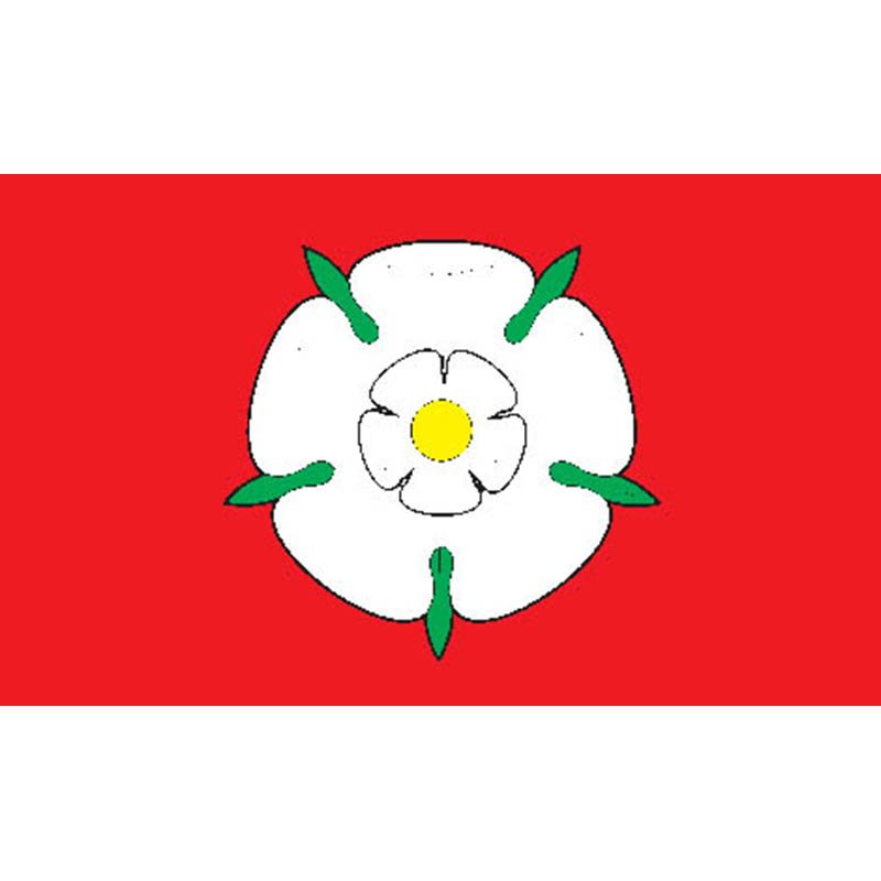 Alytus City Flag N3516 A4 Photo Print