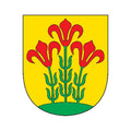 Alytus County Coat Of Arms N5413 A4 Photo Print