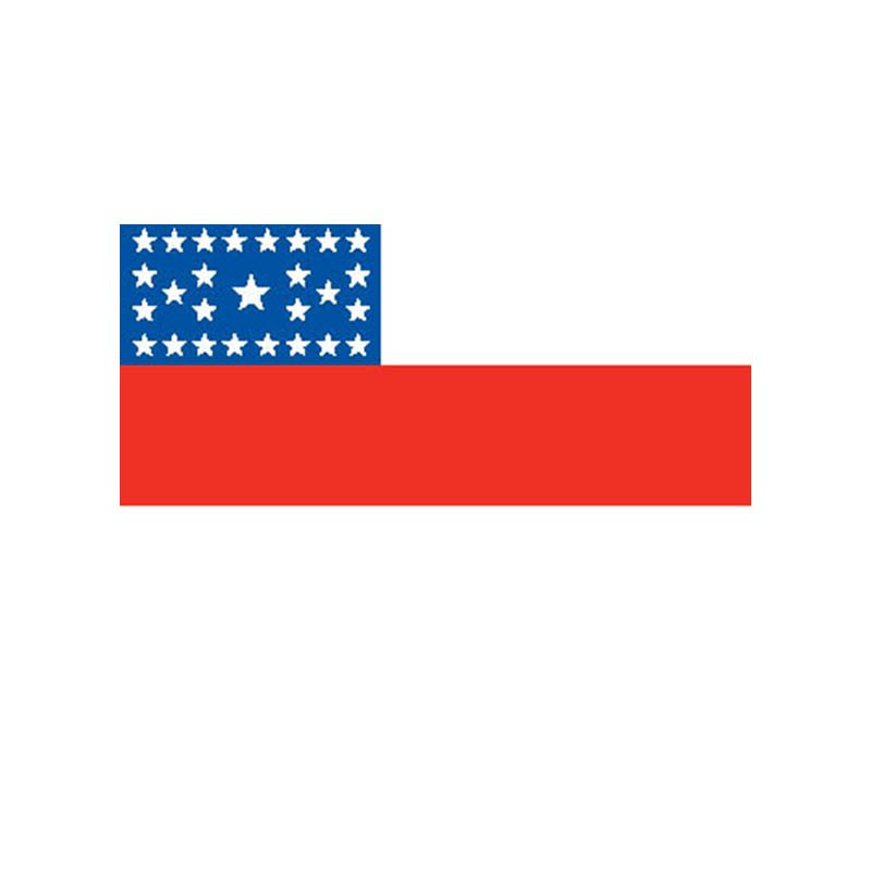 Amazonas State Flag N4797 A4 Photo Print