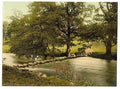 Ambleside stepping stones Lake District Vintage A4 Photo Print