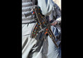 Amd 65 5 (2) Military A4 Photo Print