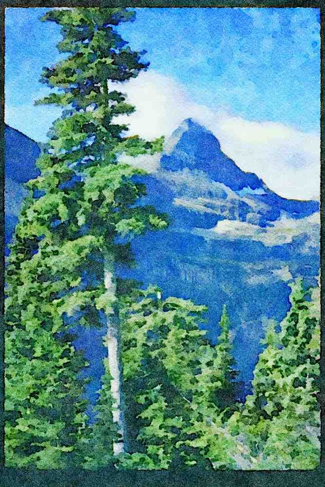 American Landscapes 038037 Conifer Trees Glacier National Park A4 Limited Edition Watercolour Print