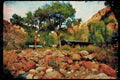 American Landscapes 038052 Phantom Ranch Grand Canyon National Park A4 Limited Edition Watercolour Print