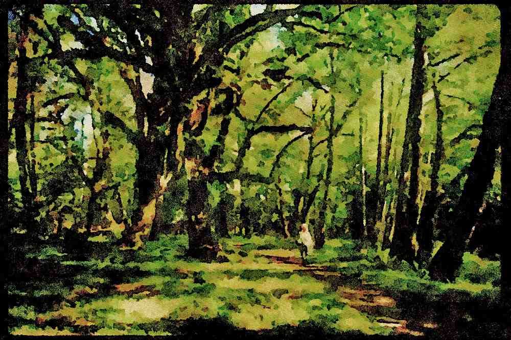 American Landscapes 038060 Lush Olympia National Forest A4 Limited Edition Watercolour Print