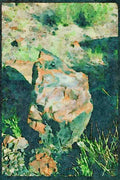 American Landscapes 038064 Chunk Of Agate Log Desert National Park A4 Limited Edition Watercolour Print