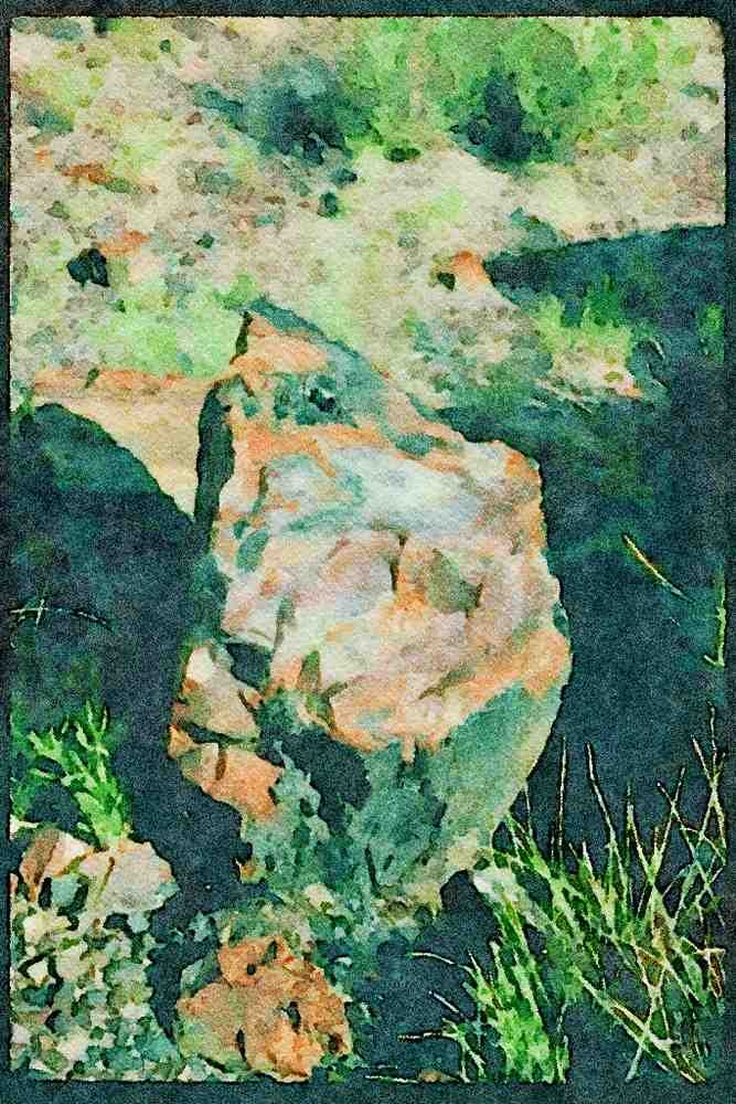 American Landscapes 038064 Chunk Of Agate Log Desert National Park A4 Limited Edition Watercolour Print