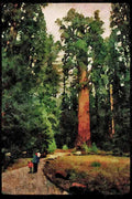 American Landscapes 038077 General Sherman Tree Sequoia National Park A4 Limited Edition Watercolour Print