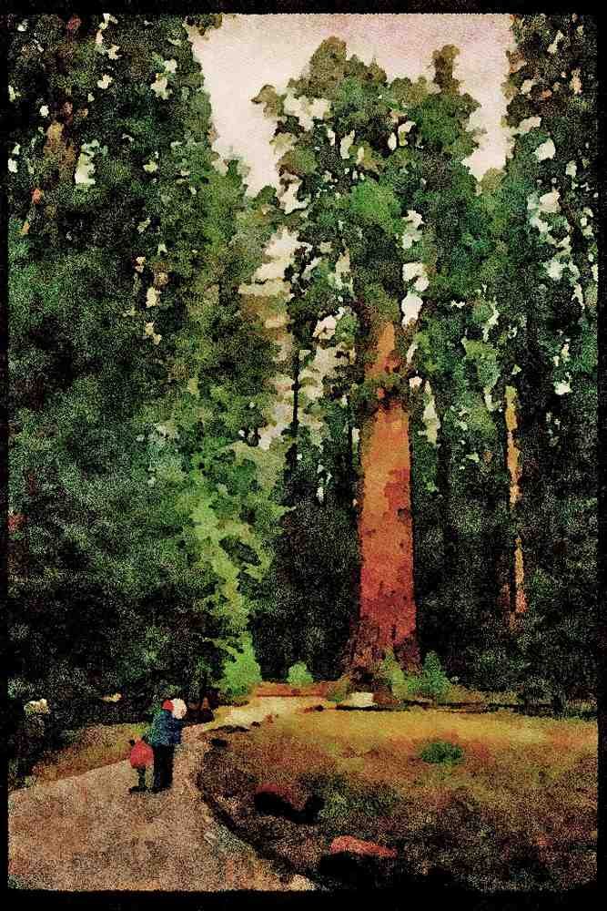 American Landscapes 038077 General Sherman Tree Sequoia National Park A4 Limited Edition Watercolour Print