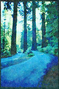 American Landscapes 038081 Giant Trees Sequoia National Forest A4 Limited Edition Watercolour Print