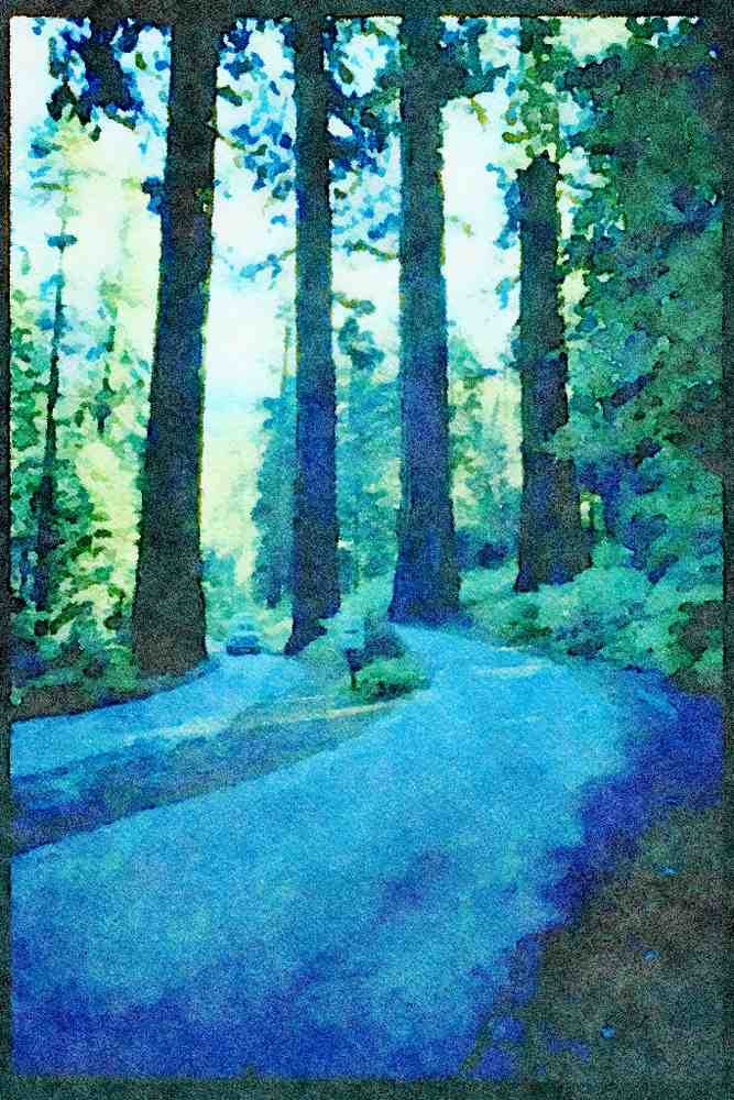 American Landscapes 038081 Giant Trees Sequoia National Forest A4 Limited Edition Watercolour Print