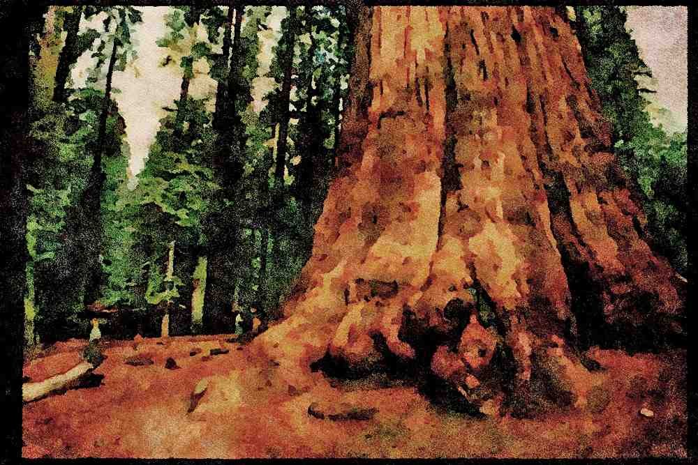 American Landscapes 038088 General Sherman Tree Sequoia National Forest A4 Limited Edition Watercolour Print