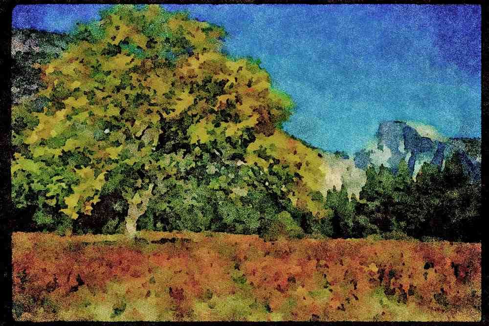 American Landscapes 038094 Half dome Yosemite National Park A4 Limited Edition Watercolour Print