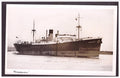 Amersham Thompson Ss Co Steam ship A4 Photo Print