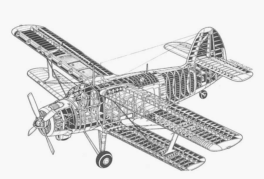 An 2 cutaway A4 Photo Print