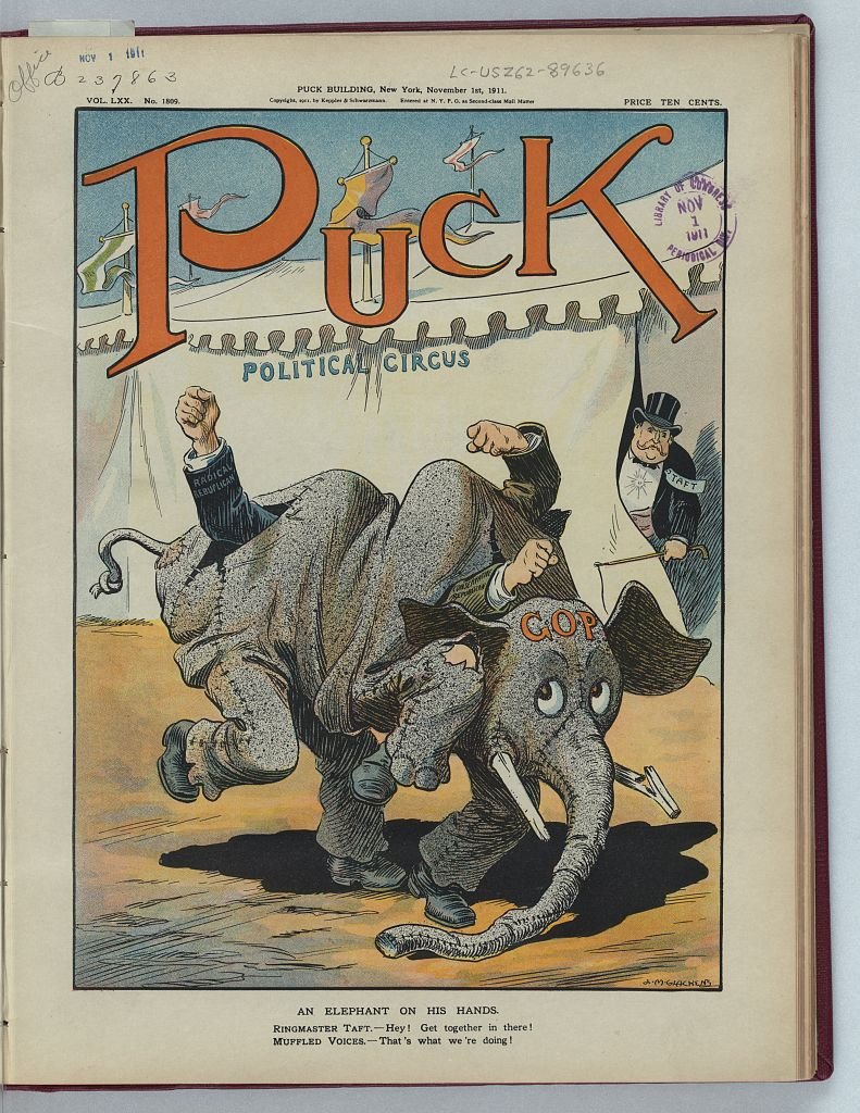 An elephant on his hands PUCK A4 Photo Print