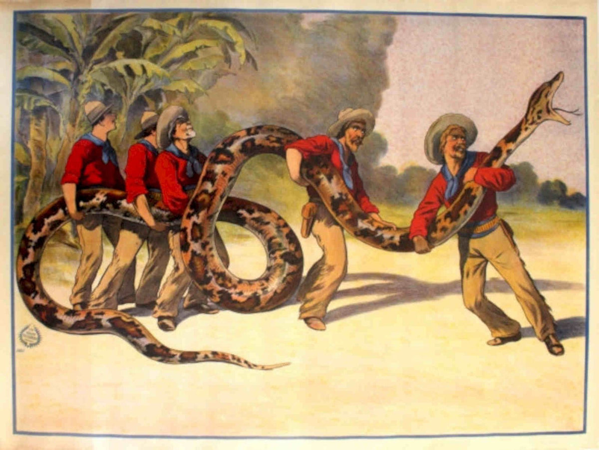 Anaconda Jungle Men Vintage Retro Advert Poster A4 Photo Print