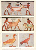 Ancient Giza 1900 Wall painting 1 Vintage A4 Photo Print