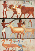 Ancient Giza 1900 Wall painting 5 Vintage A4 Photo Print