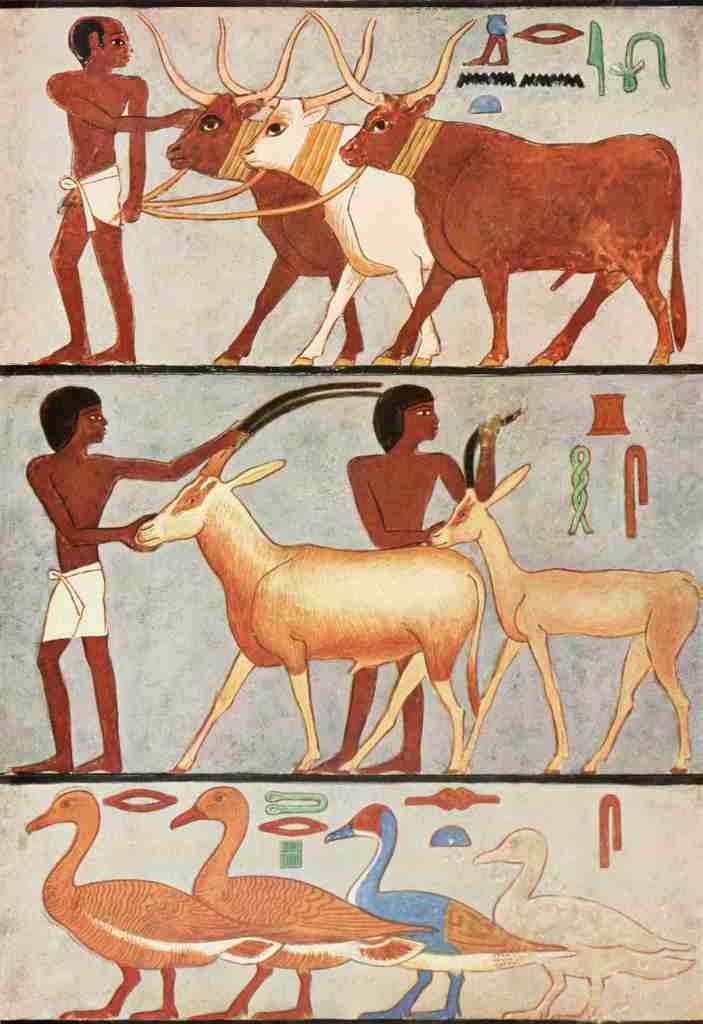 Ancient Giza 1900 Wall painting 5 A4 Photo Print