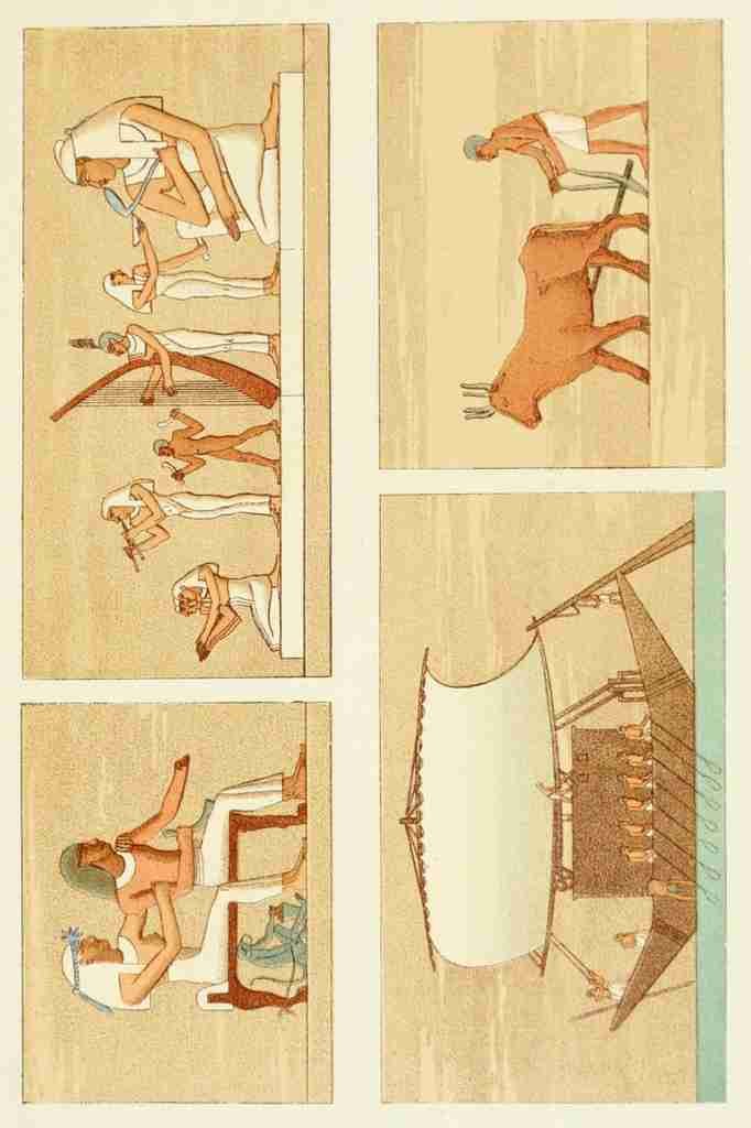 Ancient The History of Egypt 1901 Mural Decorations from the Grottos A4 Photo Print