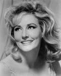 Andersen Elga A Global Affair 1 film star poster A4 Photo Print