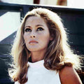 Andress Ursula 18 film star poster A4 Photo Print