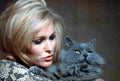 Andress Ursula 5 film star poster A4 Photo Print