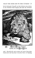 Andrew Lang Brown Fairy Book 035 Vintage Illustration A4 Photo Print