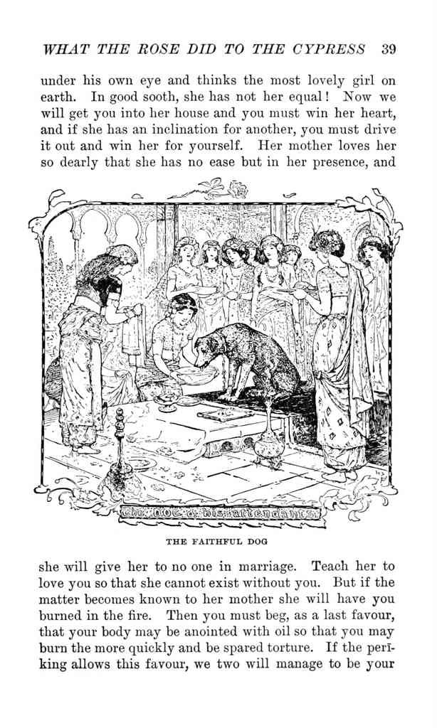 Andrew Lang Brown Fairy Book 046 Vintage Illustration A4 Photo Print