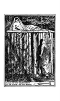 Andrew Lang Brown Fairy Book 071 Vintage Illustration A4 Photo Print