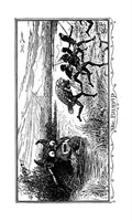 Andrew Lang Brown Fairy Book 078 Vintage Illustration A4 Photo Print