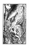 Andrew Lang Brown Fairy Book 104 Vintage Illustration A4 Photo Print