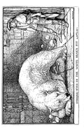 Andrew Lang Crimson Fairy Book 038 Vintage Illustration A4 Photo Print