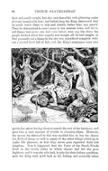 Andrew Lang Green Fairy Book 092 Vintage Illustration A4 Photo Print