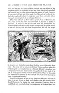 Andrew Lang Green Fairy Book 242 Vintage Illustration A4 Photo Print