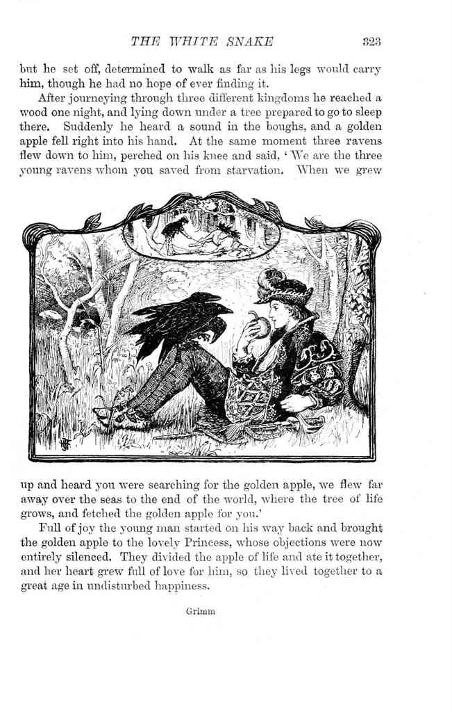Andrew Lang Green Fairy Book 321 Vintage Illustration A4 Photo Print