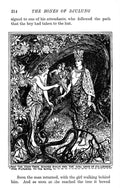 Andrew Lang Lilac Fairy Book 215 Vintage Illustration A4 Photo Print
