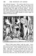 Andrew Lang Lilac Fairy Book 365 Vintage Illustration A4 Photo Print