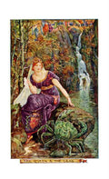 Andrew Lang Orange Fairy Book 210 Vintage Illustration A4 Photo Print