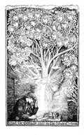 Andrew Lang Pink Fairy Book 022 Vintage Illustration A4 Photo Print