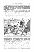 Andrew Lang Red Fairy Book 221 Vintage Illustration A4 Photo Print