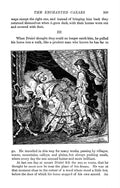 Andrew Lang Red Fairy Book 267 Vintage Illustration A4 Photo Print