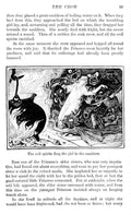 Andrew Lang Yellow Fairy Book 111 Vintage Illustration A4 Photo Print