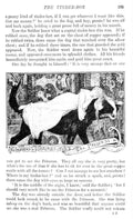 Andrew Lang Yellow Fairy Book 297 Vintage Illustration A4 Photo Print